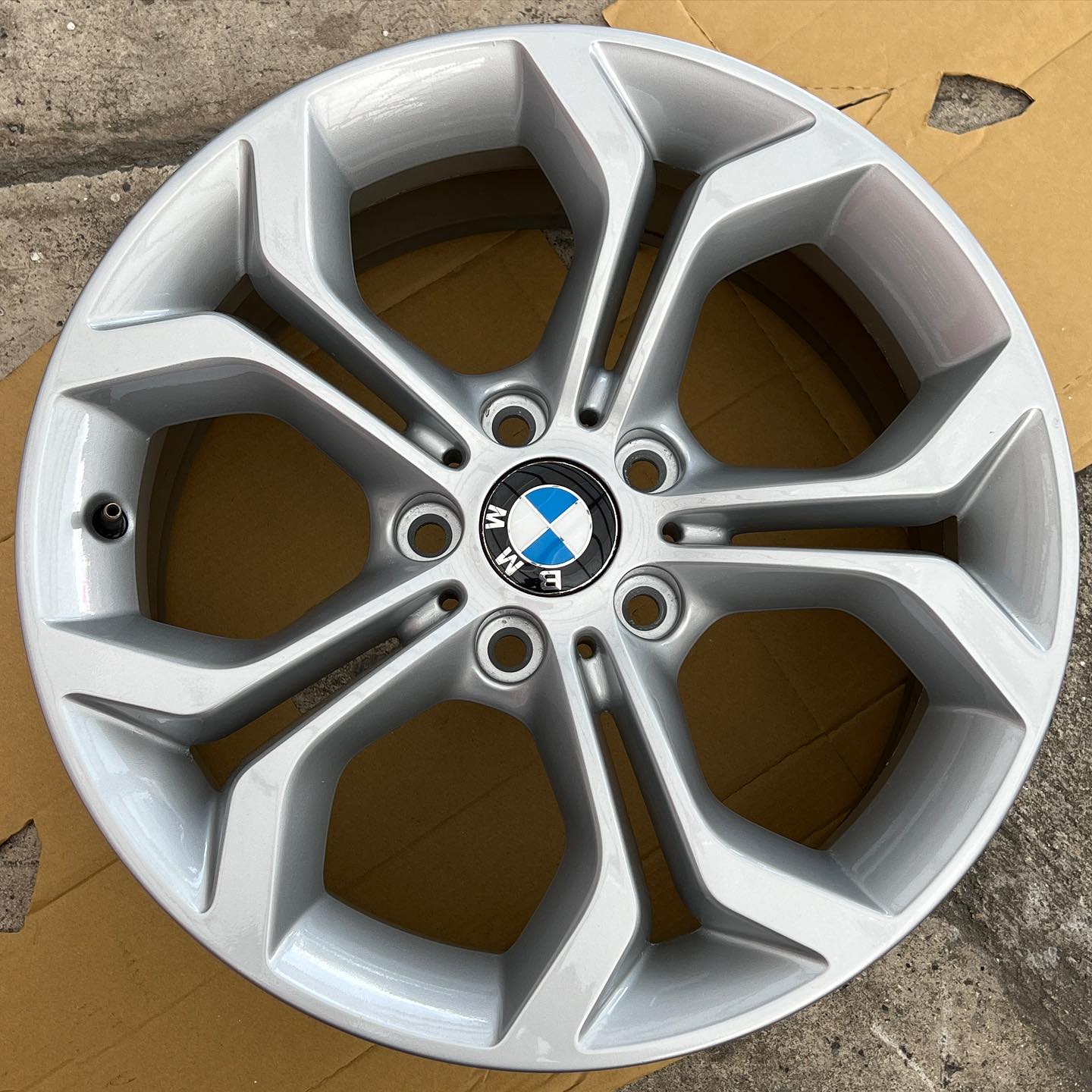 Rines BMW